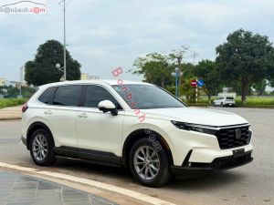 Xe Honda CRV L 2024